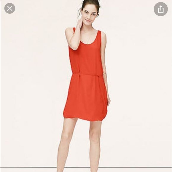 Ann Taylor Loft Scoop Neck Tie Waist Tank Dress - Picture 6 of 8